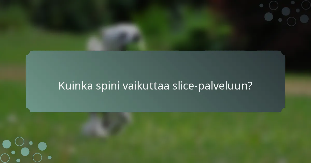 Kuinka spini vaikuttaa slice-palveluun?