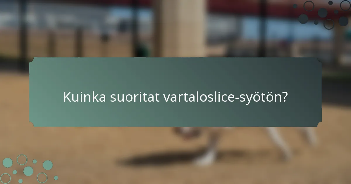 Kuinka suoritat vartaloslice-syötön?