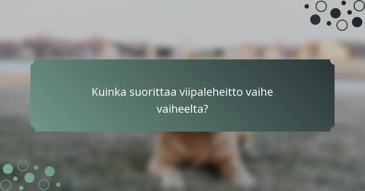 Kuinka suorittaa viipaleheitto vaihe vaiheelta?