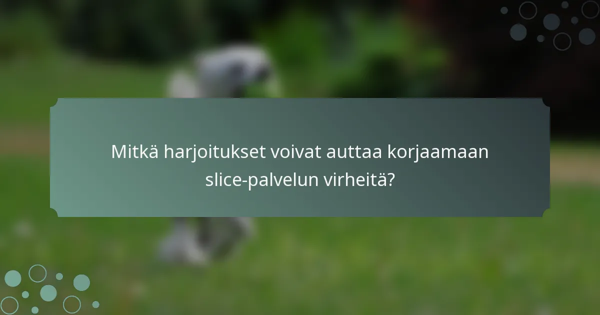 Mitkä harjoitukset voivat auttaa korjaamaan slice-palvelun virheitä?