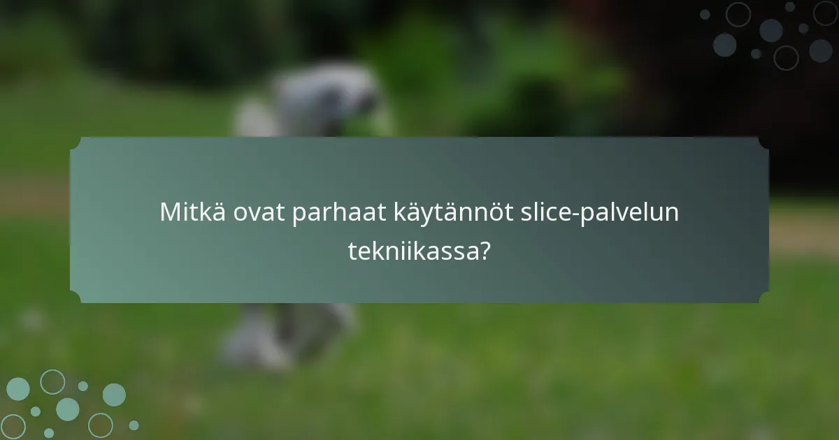 Mitkä ovat parhaat käytännöt slice-palvelun tekniikassa?